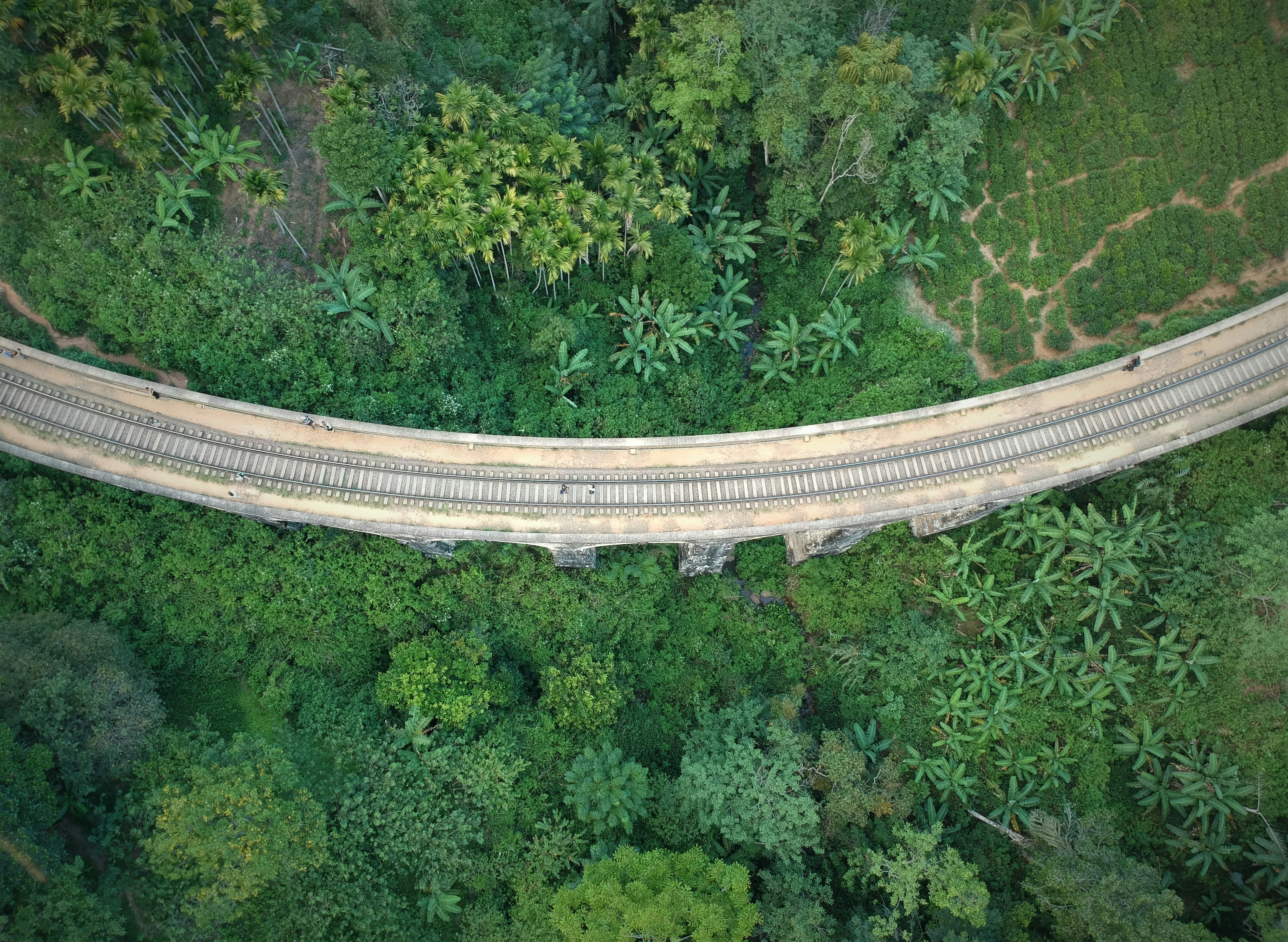 sri lanka