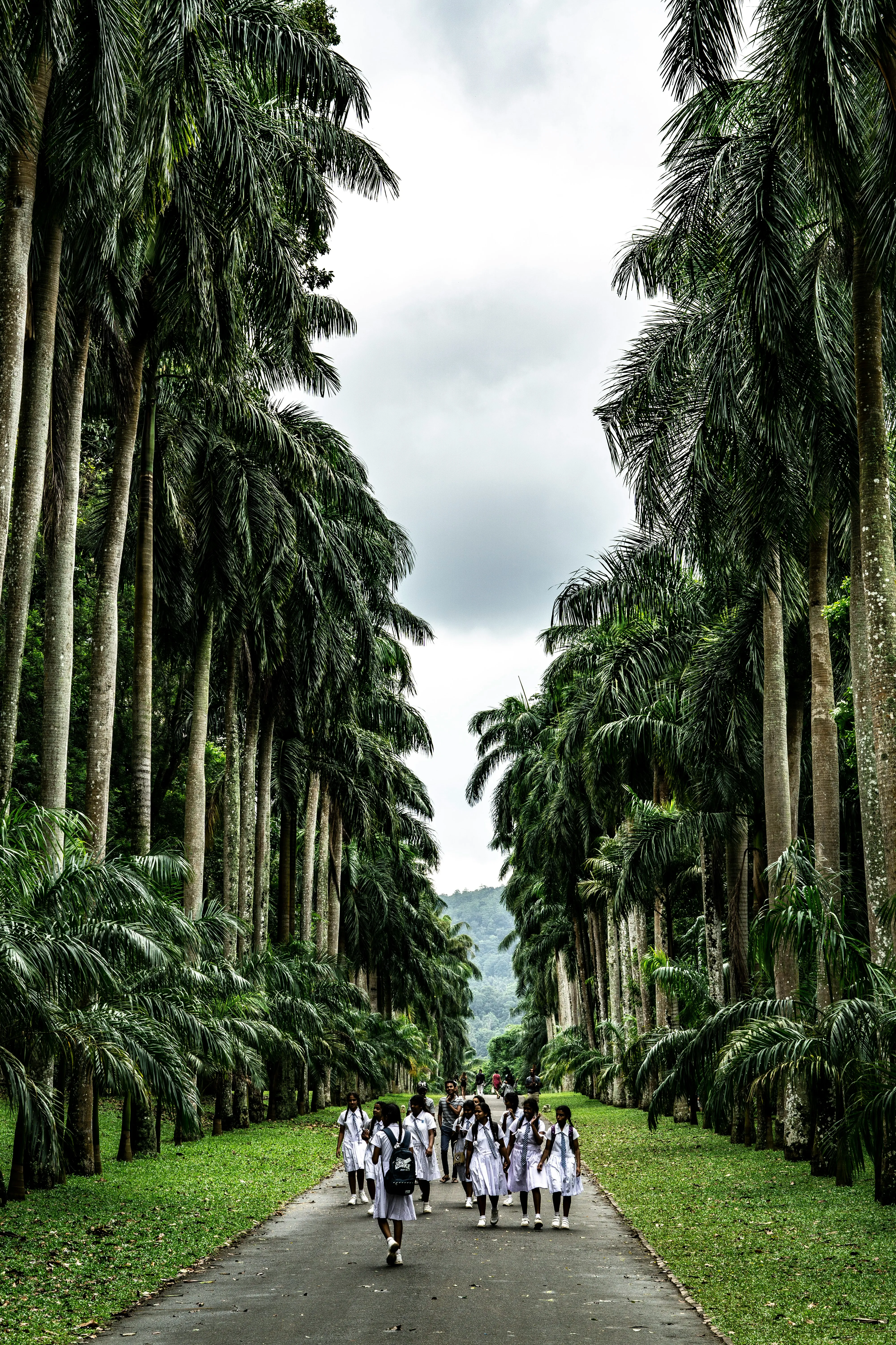 sri lanka