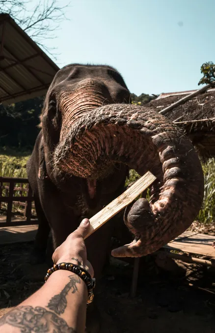 sri lanka