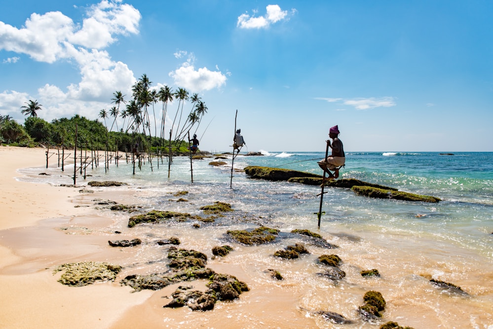 Stilt Fishermen